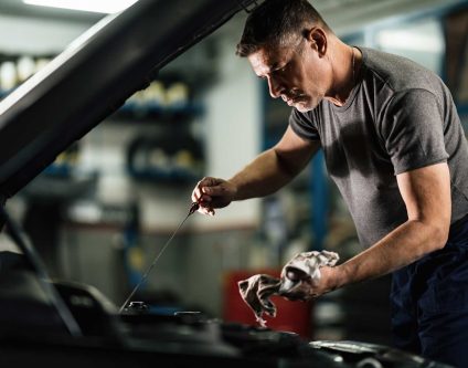 Venalis Auto Spa